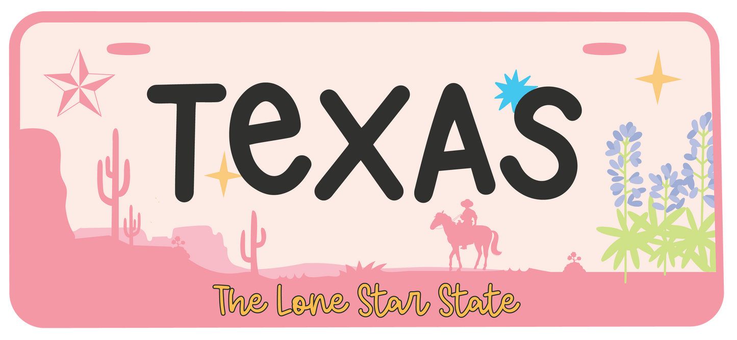 Texas license plate stickers