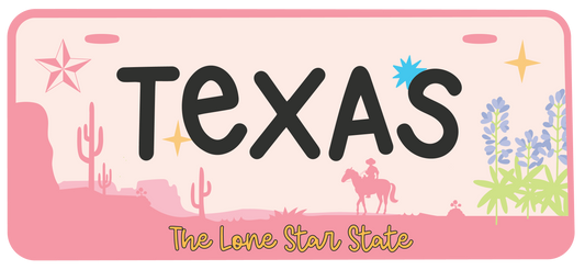 Texas license plate stickers